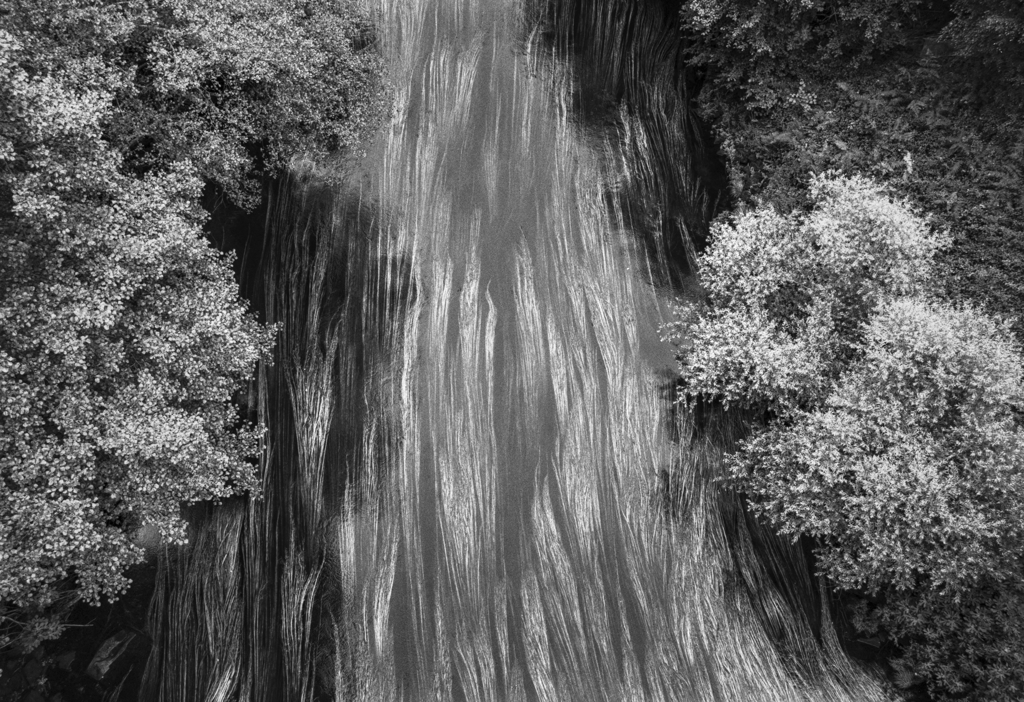 Aquatic plants shaped by the river current at Embalse de la Barca, forming flowing, abstract patterns seen from above.