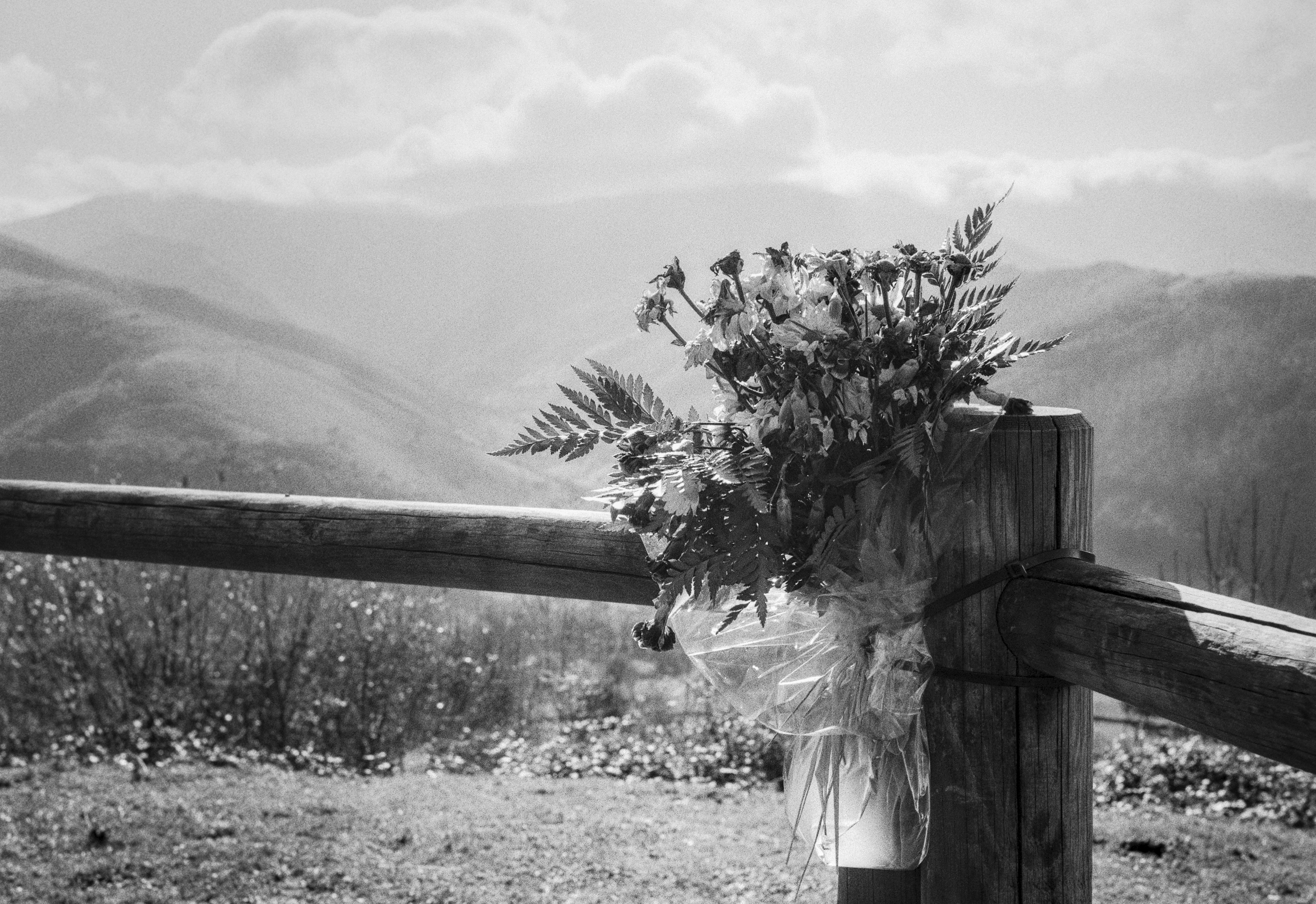 A small bouquet of wilted flowers tied to a wooden fence at a mountain viewpoint.