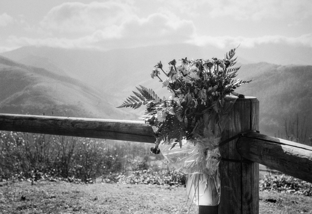 The Viewpoint and Its&nbsp;Flowers