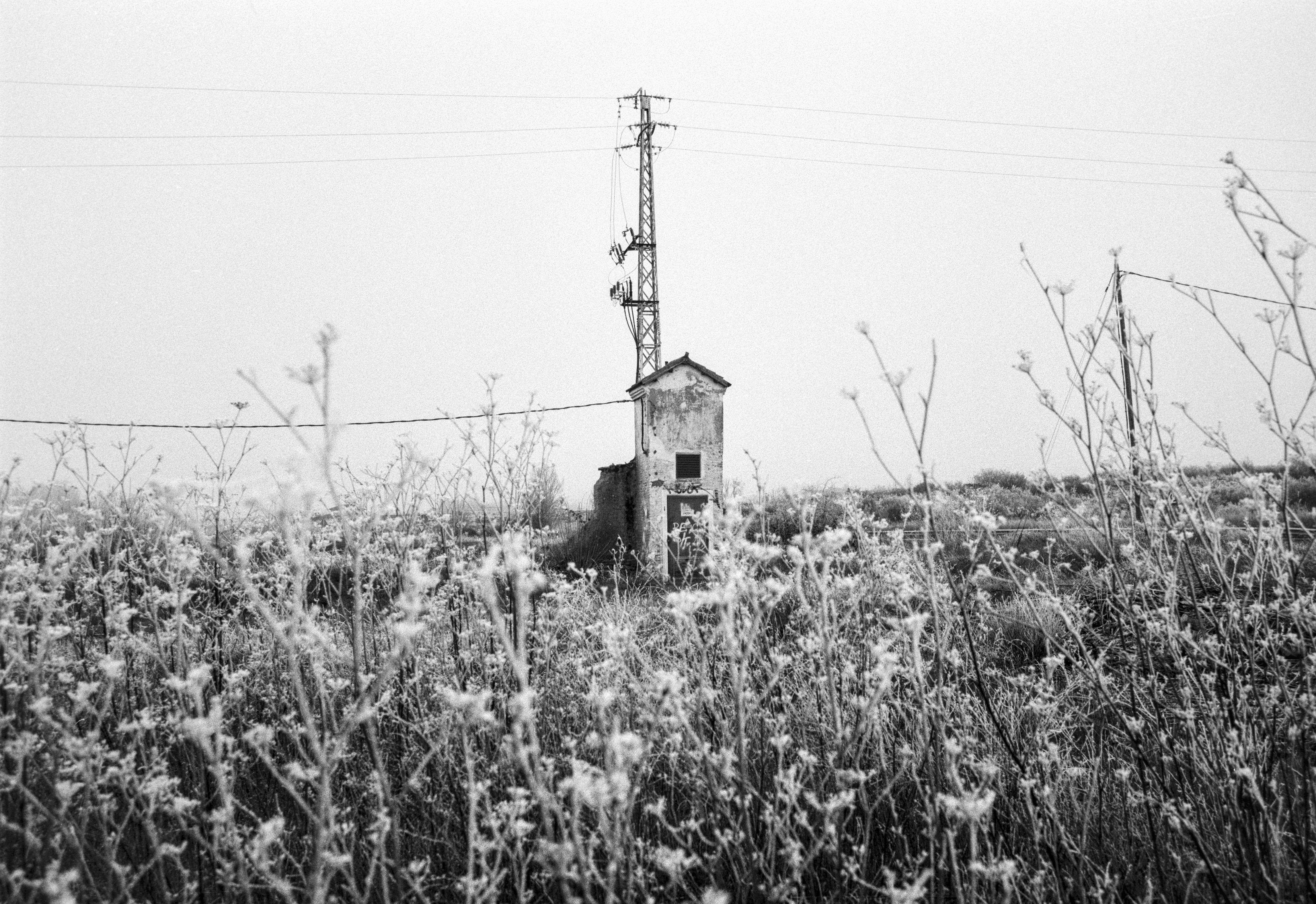 Small electrical shed surrounded by frost-covered vegetation on a winter morning near Astorga.