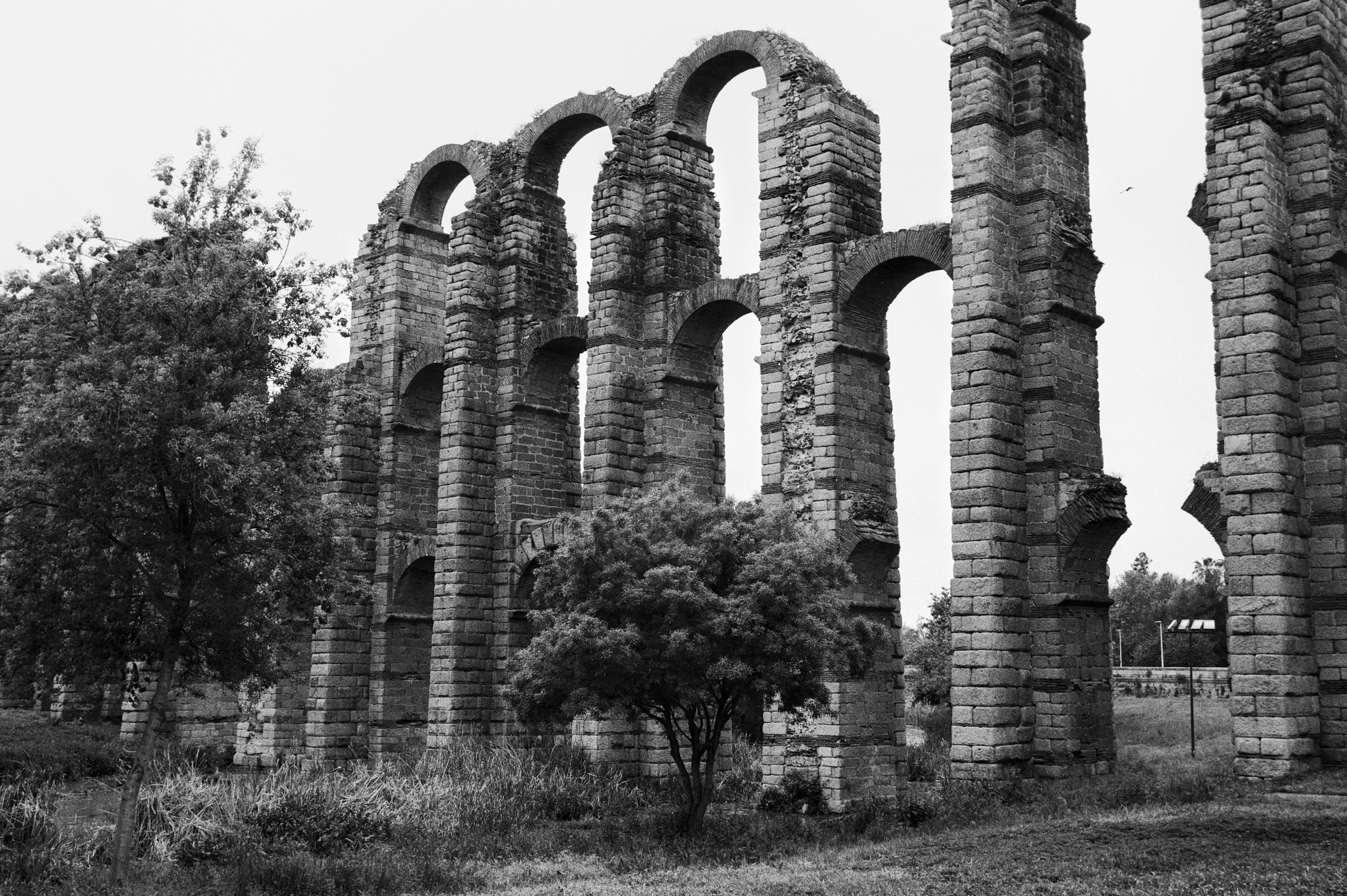 A black and white photograph of tall stone arches from an ancient aqueduct standing in a grassy area with trees around them under an overcast sky.